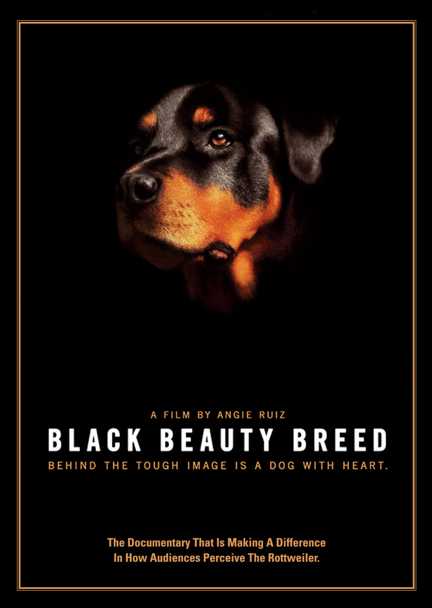 Black Beauty Breed DVD