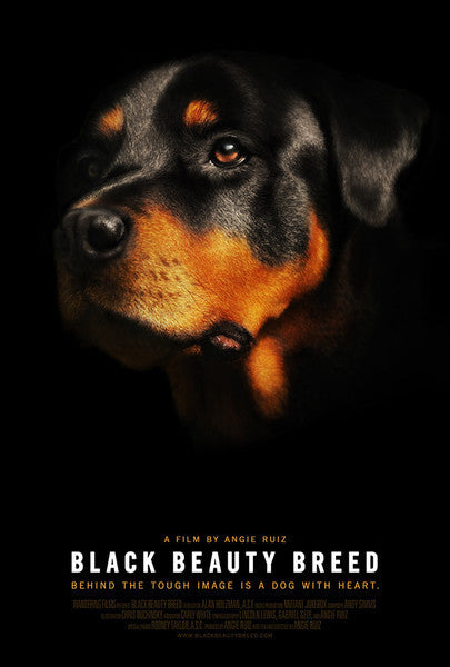 Black Beauty Breed 11 x 17 Poster